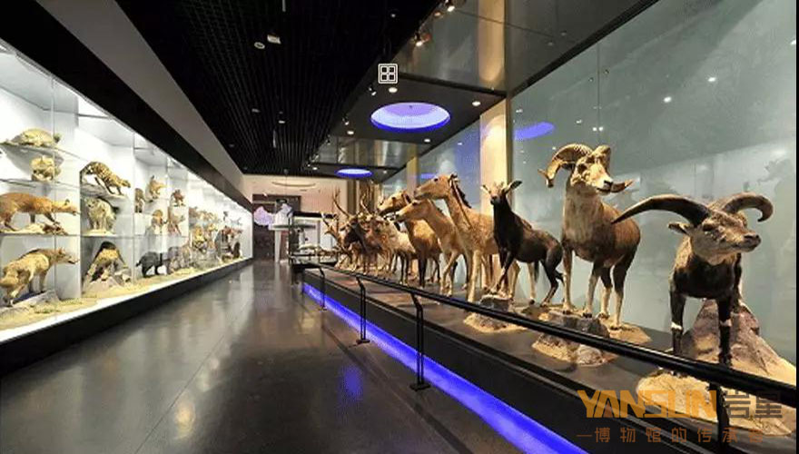 博物館展館設(shè)計方案:感受色彩對比的方法和變化的規(guī)律插圖(2)