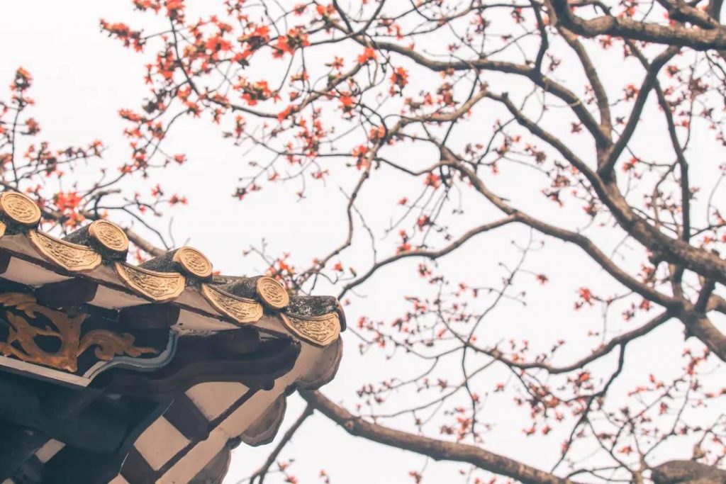 清暉園博物館「珠」愿清暉 ·「詒」路同行插圖(3)