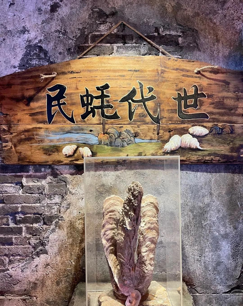 巖星特刊 ｜深圳超級文和友，“城市博物館”的擴張之路插圖(4)