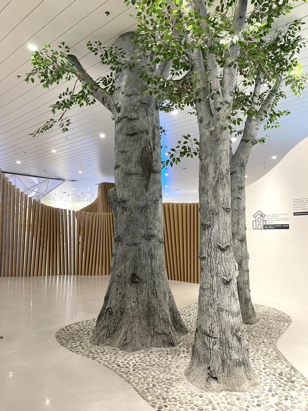 巖星特刊 | “疫苗博物館”，透過歷史切片見證偉大事業插圖(5)