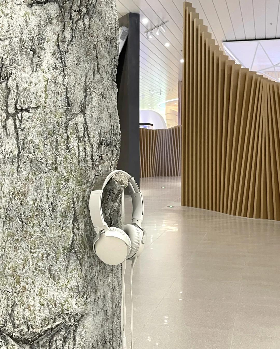 巖星特刊 | “疫苗博物館”，透過歷史切片見證偉大事業插圖(6)